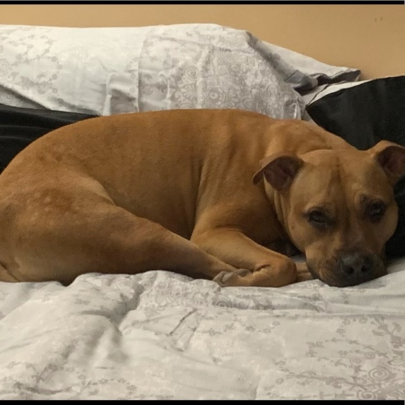 Meet your Posher, Krystina - Picture 1 of 1